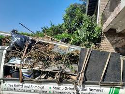 Best Demolition Debris Removal  in Sierra Madre, CA